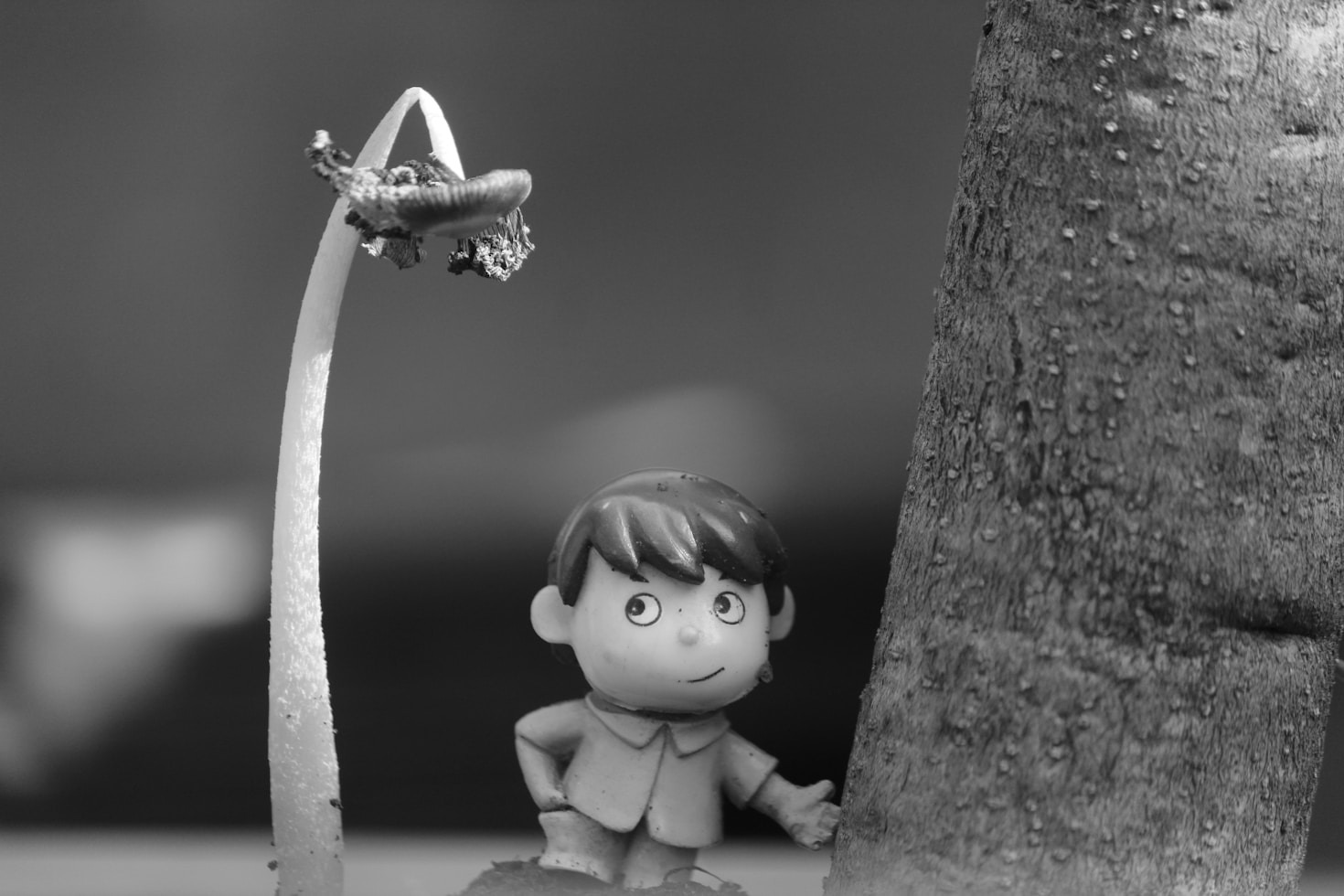 10 Reasons to Fall in Love with Astrobeast